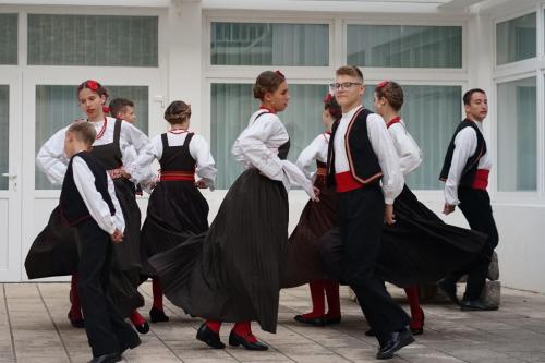Stajun od lumblije - Izbor zlatne lumblije; (C) 2022.Anđela Šćepanović