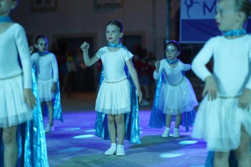 DSC00709 (1)