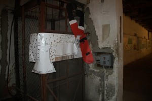  DSC2109